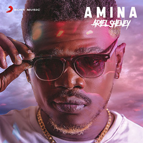 ARIEL SHANEY – Amina coupe decale