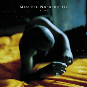 MESHELL NDEGEOCELLO – Fool of Me