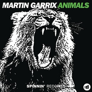 playlist soiree MARTIN GARRIX – Animals