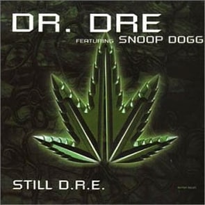 DR DRE ft. Snoop Dogg – Still D.R.E.
