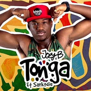 JOEY B — Tonga (pochette musique Afropop & Afrobeats )