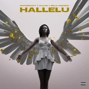 MASTERKRAFT — Hallelu (pochette musique Afropop & Afrobeats )